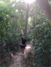 Trailblazer: เกาะตะรุเตา 2 วัน 1 คืน