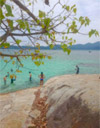 Primordial Wilderness: ตะรุเตา อาดัง ราวี หาดใหญ่