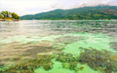 Primordial Wilderness: ตะรุเตา อาดัง ราวี หาดใหญ่