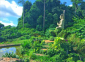 Khao Lak Around : Nature Around เขาหลัก 4 วัน 3 คืน