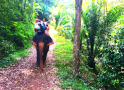 Khao Lak Around : Nature Around เขาหลัก 4 วัน 3 คืน Khao Lak Around : Nature Around เขาหลัก 4 วัน 3 คืน