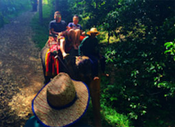 Khao Lak Around : Nature Around เขาหลัก 4 วัน 3 คืน Khao Lak Around : Nature Around เขาหลัก 4 วัน 3 คืน