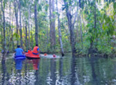 Khao Lak Around : Nature Around เขาหลัก 4 วัน 3 คืน