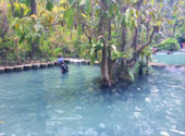 Khao Lak Around : Nature Around เขาหลัก 4 วัน 3 คืน
