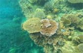 Khao Lak Around : Nature Around เขาหลัก 4 วัน 3 คืน