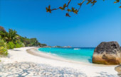 Khao Lak Around : Nature Around เขาหลัก 4 วัน 3 คืน