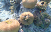 Khao Lak Around : Nature Around เขาหลัก 4 วัน 3 คืน