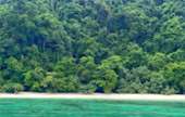 Khao Lak Around : Nature Around เขาหลัก 4 วัน 3 คืน
