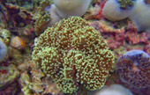 Khao Lak Around : Nature Around เขาหลัก 4 วัน 3 คืน