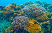Khao Lak Around : Nature Around เขาหลัก 4 วัน 3 คืน