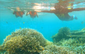 Khao Lak Around : Nature Around เขาหลัก 4 วัน 3 คืน