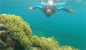 Khao Lak Around : Nature Around เขาหลัก 4 วัน 3 คืน