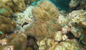 Khao Lak Around : Nature Around เขาหลัก 4 วัน 3 คืน