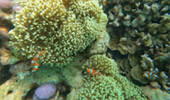 Khao Lak Around : Nature Around เขาหลัก 4 วัน 3 คืน
