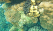 Khao Lak Around : Nature Around เขาหลัก 4 วัน 3 คืน
