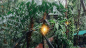 Khao Lak Around : Nature Around เขาหลัก 4 วัน 3 คืน