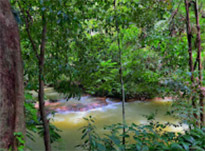 The Hidden: แหลมสัก อ่าวลึก
