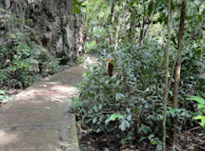 The Hidden: แหลมสัก อ่าวลึก