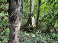The Hidden: แหลมสัก อ่าวลึก