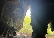 The Hidden: แหลมสัก อ่าวลึก