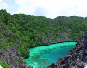 Sea Lovers: หัวใจคนรักทะเล
