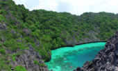 Sea Lovers: หัวใจคนรักทะเล