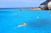 Sea Lovers: หัวใจคนรักทะเล