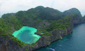 Sea Lovers: หัวใจคนรักทะเล