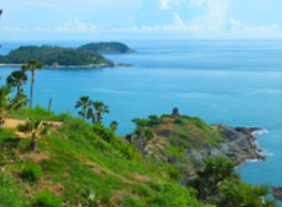 Sea Lovers: หัวใจคนรักทะเล