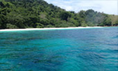 Sea Lovers: หัวใจคนรักทะเล