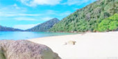Sea Lovers: หัวใจคนรักทะเล