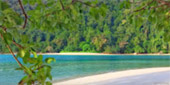 Sea Lovers: หัวใจคนรักทะเล