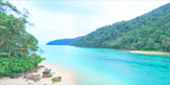 Sea Lovers: หัวใจคนรักทะเล