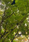 Khao Lak Around : Nature Around เขาหลัก 4 วัน 3 คืน