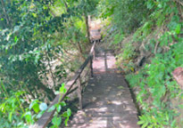 Khao Lak Around : Nature Around เขาหลัก 4 วัน 3 คืน