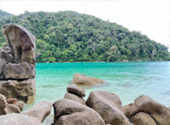 นอนเกาะสุรินทร์ 2 วัน 1 คืน