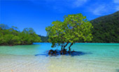 เกาะสุรินทร์ Full Day: จากเขาหลัก