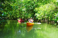 3 วัน 2 คืน เขาหลัก เกาะสิมิลัน ถ้ำผีหัวโต