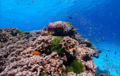 Variety in Phang Nga Package for Long Holiday