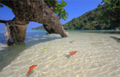 Variety in Phang Nga Package for Long Holiday