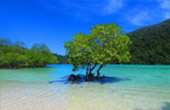 Variety in Phang Nga Package for Long Holiday