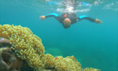 Variety in Phang Nga Package for Long Holiday