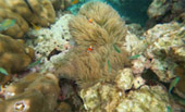 Variety in Phang Nga Package for Long Holiday