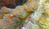Variety in Phang Nga Package for Long Holiday