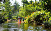 Variety in Phang Nga Package for Long Holiday