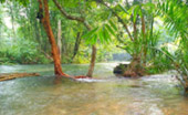 Variety in Phang Nga Package for Long Holiday