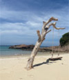 เขาหน้ายักษ์: Snorkeling and Beach Day Tour
