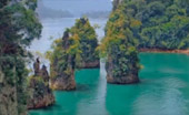Dam, Jungle, Custom 3 วัน 2 คืน สุราษ เขื่อน เขาสก