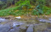The Forest Breath: ประสบการณ์ สัมผัสป่า