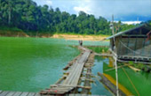 The Forest Breath: ประสบการณ์ สัมผัสป่า